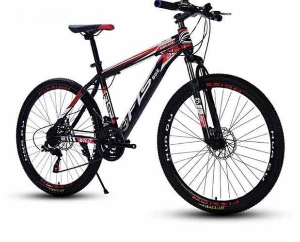 Bicicletas Tianjin aro 29