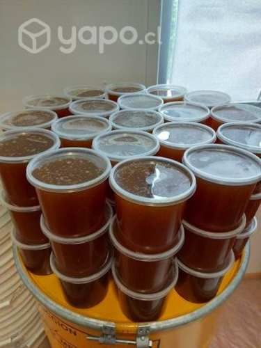 Miel por Mayor