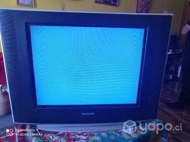 Computador y televisor