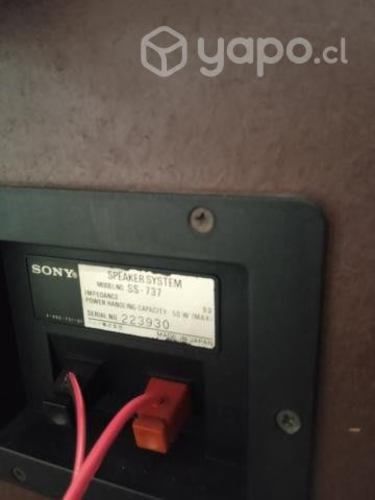 Parlantes y amplificador