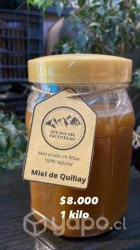 Miel de Quillay