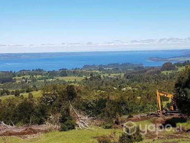 Parcela 5000mt2 en Puyehue, sector El Taique