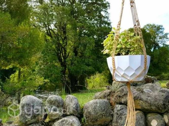 Colgante Para Planta "I"