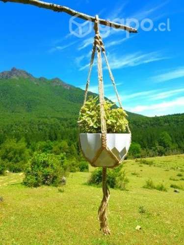 Colgante Para Planta "F"