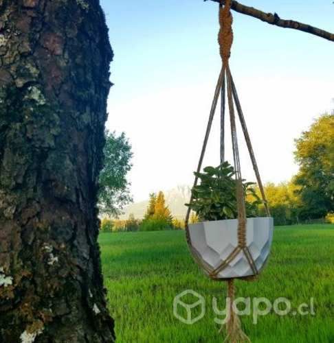 Colgante para Planta "H"