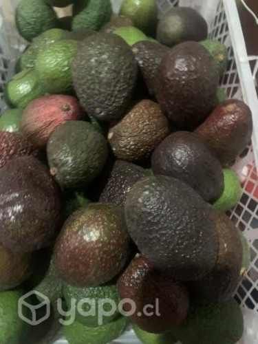 Palta hass