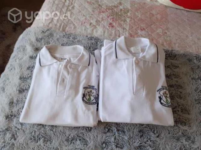 4 poleras pique tallas 14 inmaculada concepcion