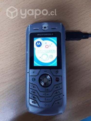 Celular Motorola L6 de Colección