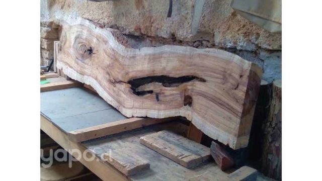 Ideal BAR MESON QUINCHO ARRI CASTAÑO 2/3&quot; DSD 80M