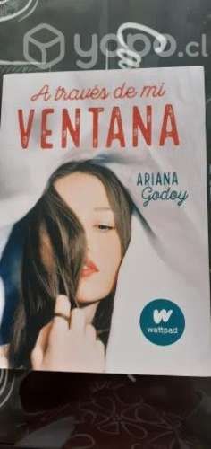 A través de mi ventana