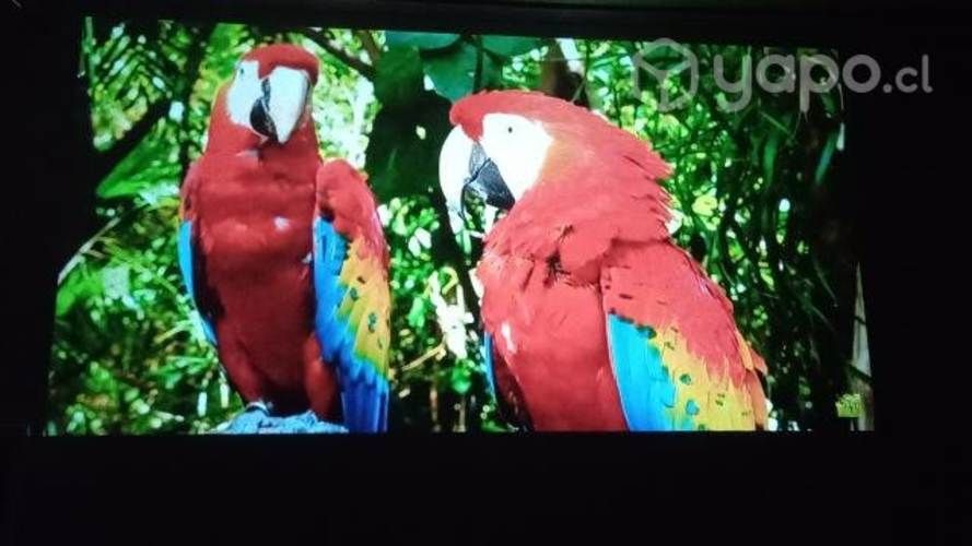 Proyector Smart Android