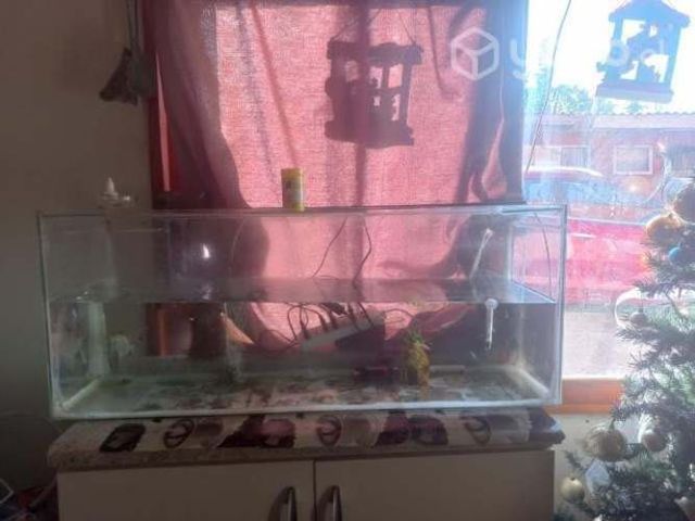 Acaurio 100 litro con todo