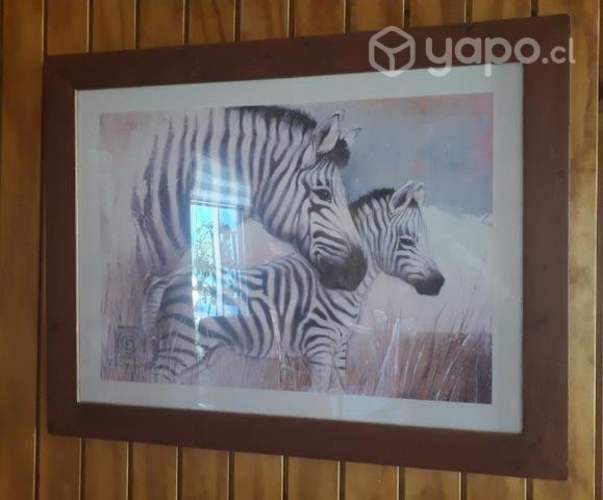Cuadro cebras