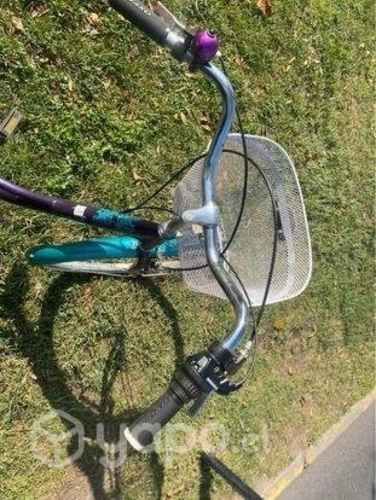 Bicicleta Oxford Metropolitan