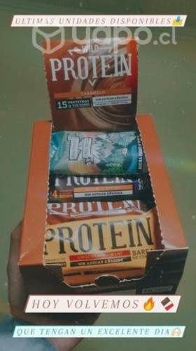 Barritas Wild Protein