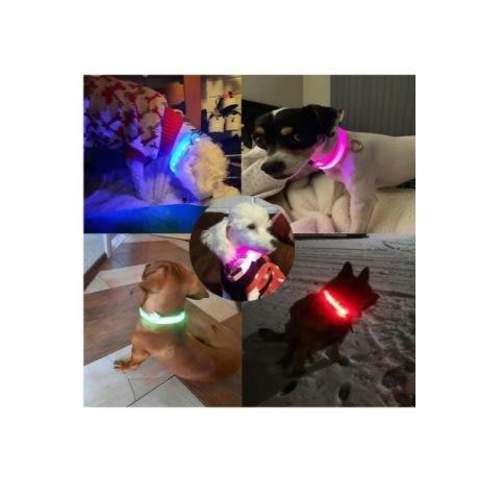 Collar led Para Perros y Gatos cinturón al cuello