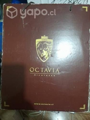 Zapatos seguridad mujer