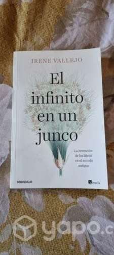 Libro "El infinito en un junco" de Irene Vallejos