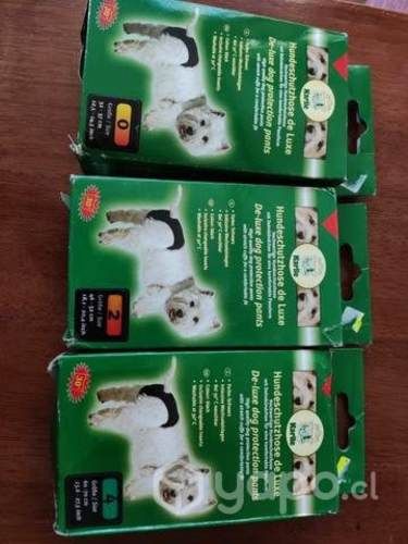 Pantalones y ropa de protección para perros