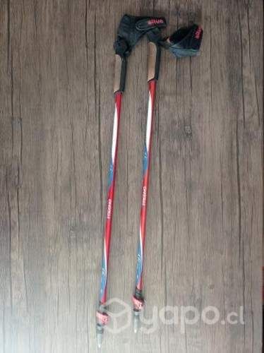 Bastones de trekking