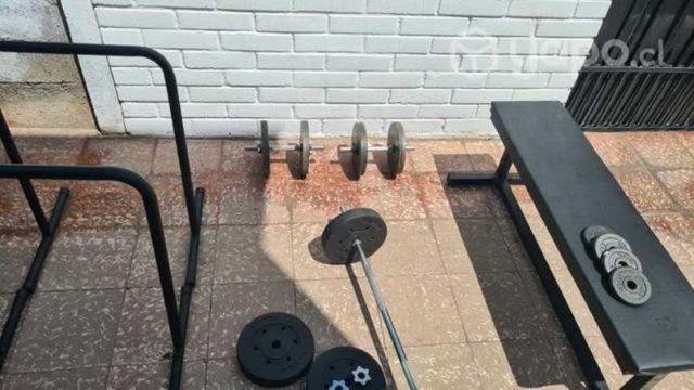 Barras, mancuernas y discos