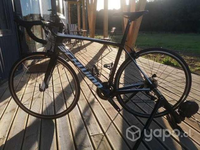 Bicicleta Schwinn Fastback Carbon 105