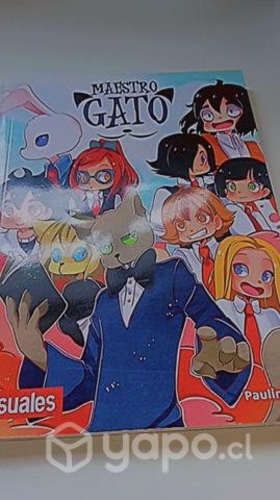 Maestro gato Paulina palacios