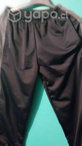 Buzo nuevo escuela Pablo neruda