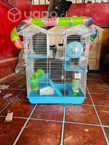 Jaula hamster