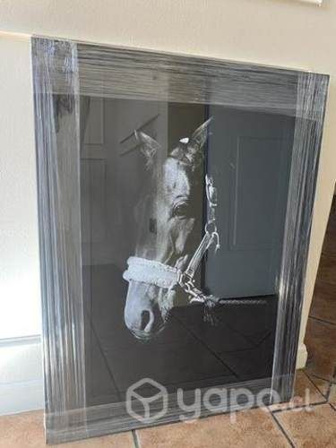 Se vende cuadro Nuevo