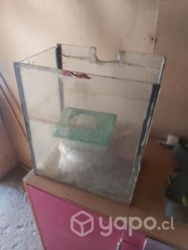 Jaulas para hámster