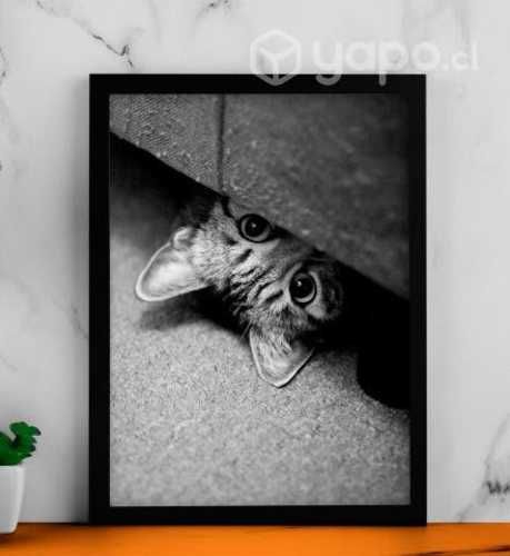 Pack 3 Decorativos GATITOS BLANCO Y NEGRO 34x45 cm