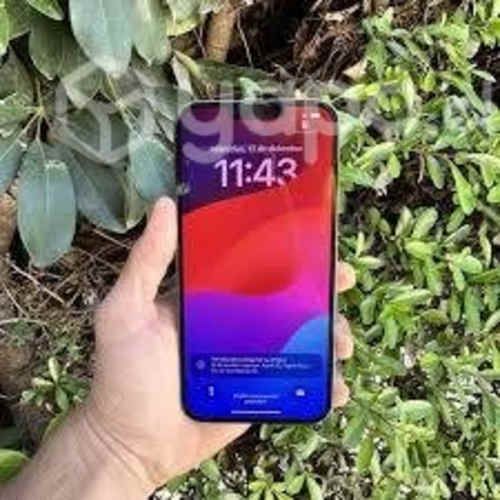 Apple iPhone 13 Pro Max - Grafito