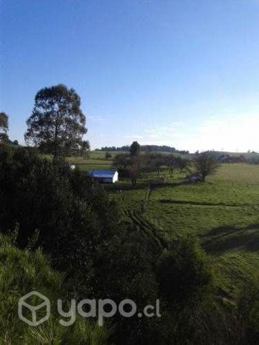 7 Hectareas en Loncotoro, Decima Region