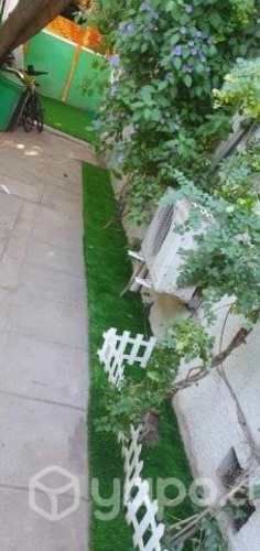 Pasto sintético ornamental