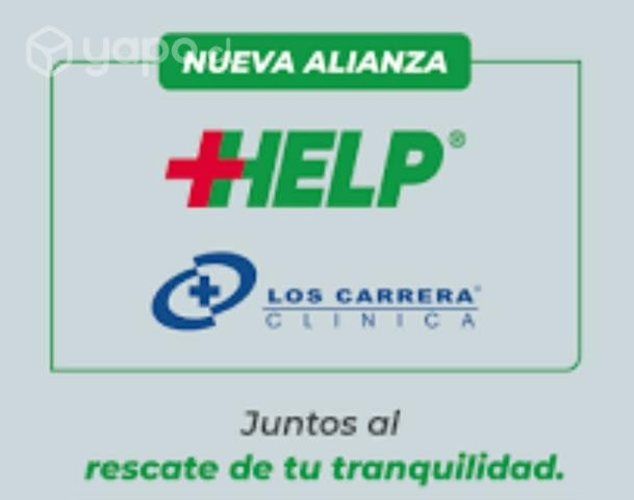 Asesora comercial help