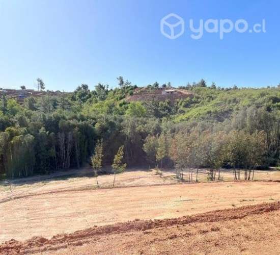 Vendo parcela en ruta Copiulemu a Hualqui