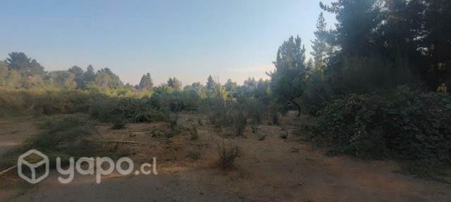 Parcela de 5000 metros cuadrados con rol