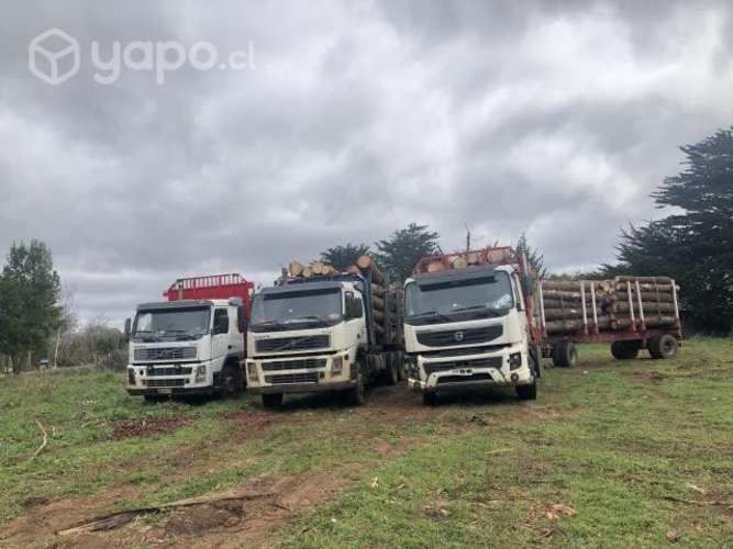Camión volvo fmx 2012
