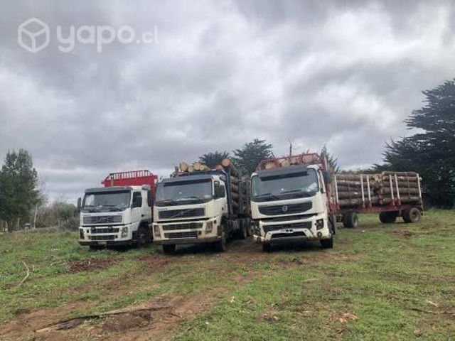 Camión volvo fmx 2012
