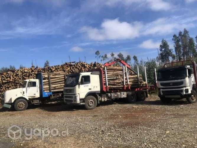 Camión volvo fmx 2012