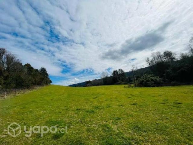 Parcela en los lagos - panguipulli