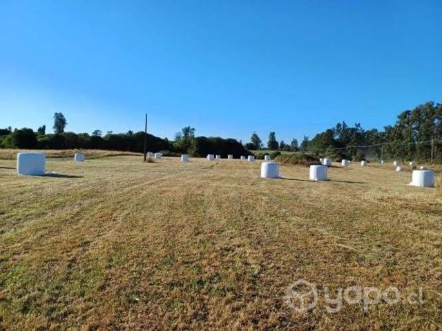 Parcela a 20 min de Osorno