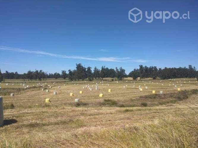 Parcela a 20 min de Osorno