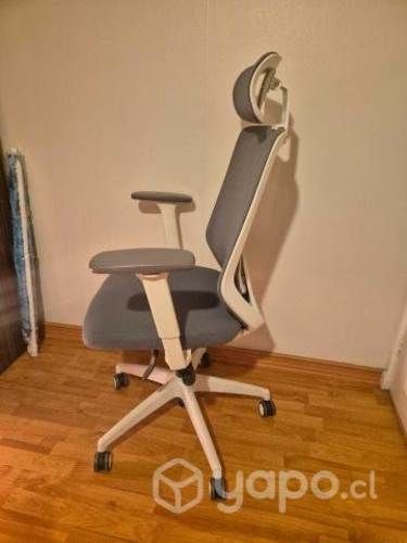 Silla Office Focus Gris Claro, con Cabecera Form