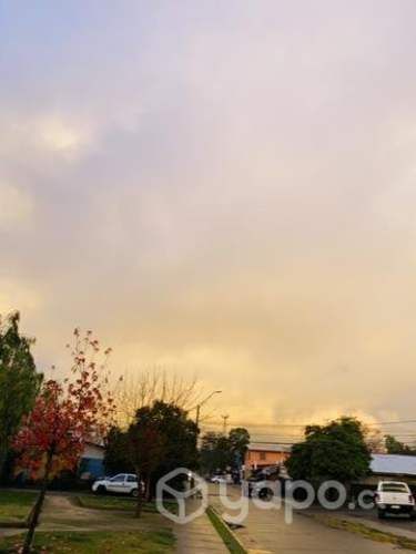 Arriendo casa o departamento