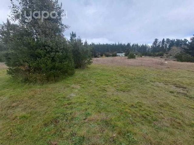 Parcela con cabaña en Chancoyan