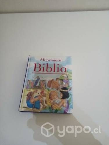 Libros , biblia , maus, hobbit , entre otros