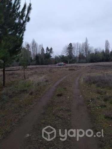 Veloso Propiedades vende Parcela en Paso Hondo