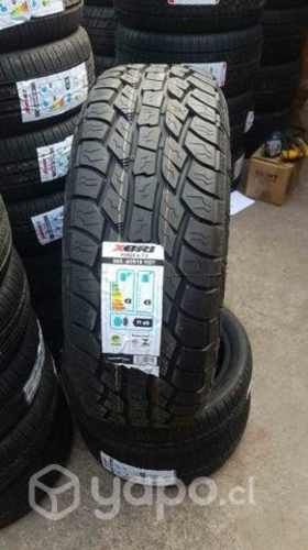 265 60 18 nuevos hablar por whatsapp